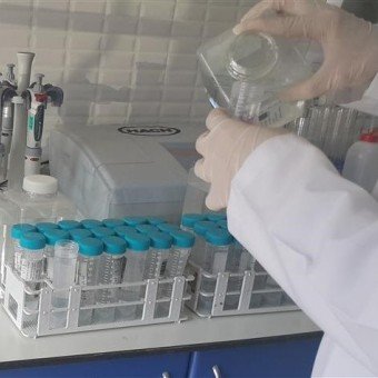 Buhar Kazanlarında Kireçlenme ve Korozyon Önleyici Kimyasallar